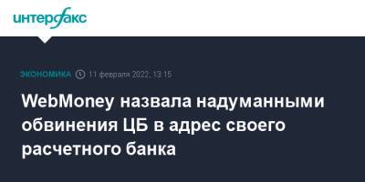 WebMoney назвала надуманными обвинения ЦБ в адрес своего расчетного банка - interfax.ru - Москва - Россия