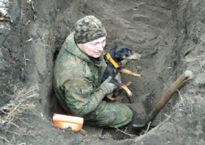 Охотник в Курской области пять дней искал под землей свою собаку и нашел живой - province.ru - Курская обл.