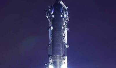 Илон Маск - Вадим Лукашевич - Фото дня: Маск построил самую большую ракету в мире - newizv.ru