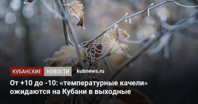 От +10 до -10: «температурные качели» ожидаются на Кубани в выходные - kubnews.ru - Краснодарский край