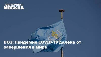 Анатолий Альтштейн - Сумья Сваминатан - ВОЗ: Пандемия COVID-19 далека от завершения в мире - vm.ru - Москва - Россия