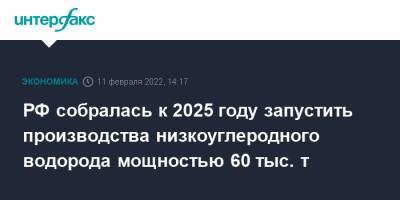 РФ собралась к 2025 году запустить производства низкоуглеродного водорода мощностью 60 тыс. т - interfax.ru - Москва - Россия