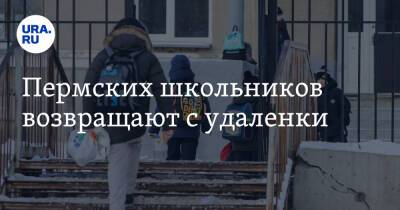 Пермских школьников возвращают с удаленки - ura.news - Пермь