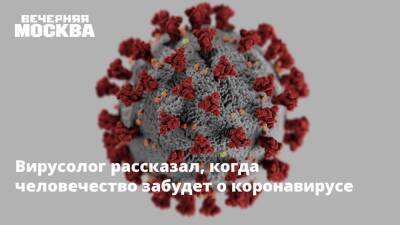 Петр Чумаков - Вирусолог рассказал, когда человечество забудет о коронавирусе - vm.ru - Москва - Россия