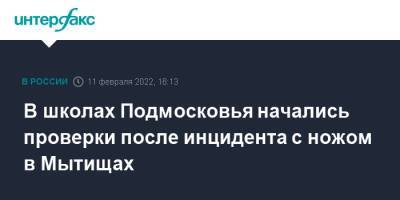 Ксения Мишонова - В школах Подмосковья начались проверки после инцидента с ножом в Мытищах - interfax.ru - Москва - Московская обл.