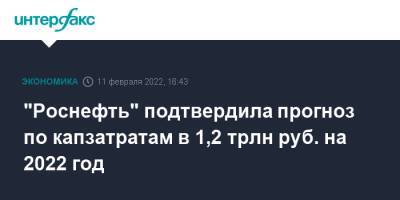 "Роснефть" подтвердила прогноз по капзатратам в 1,2 трлн руб. на 2022 год - interfax.ru - Москва - Россия