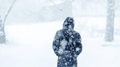 Алексей Хресин - Жителей Курганской области предупредили о сильном снегопаде - russian.rt.com - Курганская обл.