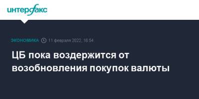 Эльвира Набиуллина - ЦБ пока воздержится от возобновления покупок валюты - interfax.ru - Москва - Россия