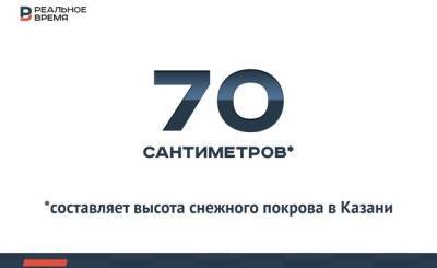 Высота снежного покрова в Казани составляет 70 сантиметров — это много или мало? - realnoevremya.ru - Токио - Санкт-Петербург - респ. Татарстан - Ханты-Мансийск - Владимирская обл. - Казань - Самара - Татарстан - Экология