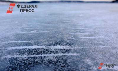 Ирина Привалова - В Москве Олимпийская чемпионка провалилась под лед - fedpress.ru - Москва