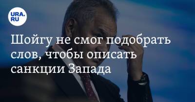 Сергей Шойгу - Бен Уоллес - Шойгу не смог подобрать слов, чтобы описать санкции Запада - ura.news - Москва - Россия - Украина - Англия