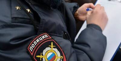 В Москве пьяные мигранты избили двух полицейских и отобрали у одного из них дубинку - runews24.ru - Москва - район Царицыно