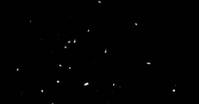 Джеймс Уэбб - Вселенная - В NASA показало сделанную телескопом Джеймсом Уэббом космическую "мозаику" (фото) - focus.ua - Украина
