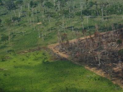 Жаир Болсонару - Вырубка лесов в тропических лесах Амазонки в Бразилии достигла рекордного уровня - unn.com.ua - США - Украина - Киев - Бразилия - Reuters