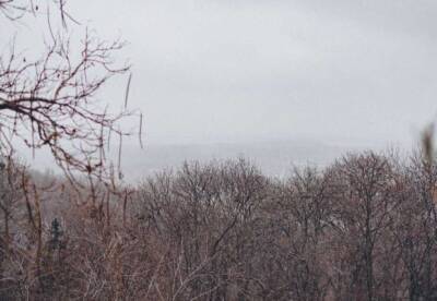 Прогноз погоды на 12 февраля: в Украину вернутся штормовые ветры - facenews.ua - Украина - Киев