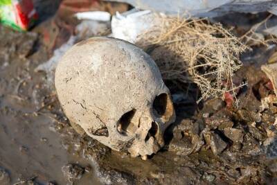 Скелет нашли на стихийной свалке в Новосибирске - tayga.info - Новосибирск - район Кировский, Новосибирск