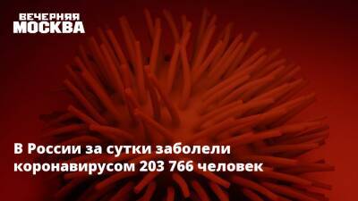 Татьяна Голикова - В России за сутки заболели коронавирусом 203 766 человек - vm.ru - Москва - Россия - Санкт-Петербург - Севастополь - респ.Тыва - Мурманская обл. - республика Карелия