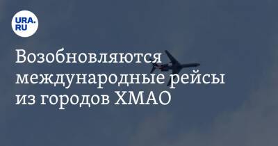 Александр Грушко - Возобновляются международные рейсы из городов ХМАО - ura.news - Москва - Россия - США - Германия - Ханты-Мансийск - Венгрия - Калининград - Якутск - Абакан - Кипр - Югра - Греция - Нижневартовск - Ставрополь - Шри Ланка - с. 1 Марта