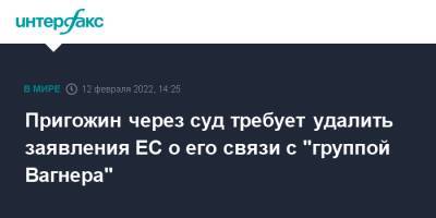 Евгений Пригожин - Пригожин через суд требует удалить заявления ЕС о его связи с "группой Вагнера" - interfax.ru - Москва - Россия