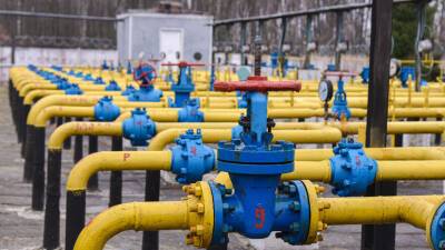 Сергей Макогон - Украина нарастила импорт газа до 14 млн кубометров в сутки с начала февраля - russian.rt.com - Украина