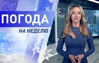 Сохранится ли тепло? Погода на неделю с 14 по 20 февраля. Подробный прогноз - ont.by - Белоруссия