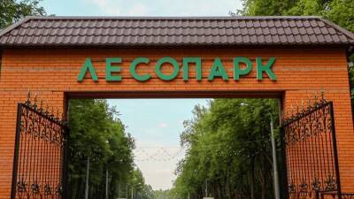 В Рязани в 2022 году начнут благоустраивать четыре парка - 7info.ru - Рязань - Октябрьск - р-н Советский