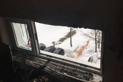 Взрыв мусоропровода выбил окна дома на проспекте Луначарского - spb.mk.ru - Санкт-Петербург - р-н Выборгский - р-н Калининский