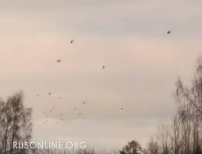 Над городами России массово кружат военные вертолеты (видео) - rusonline.org - Россия - Украина - Белгородская обл.