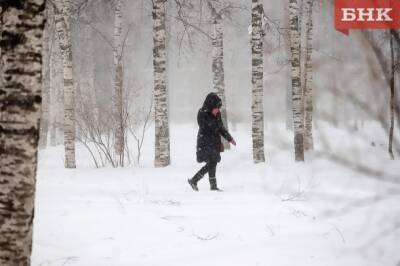 Что ожидать в Коми от погоды 13 февраля - bnkomi.ru - респ. Коми - Сыктывкар - Усинск - Печорск