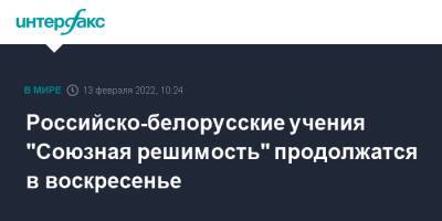 Российско-белорусские учения "Союзная решимость" продолжатся в воскресенье - interfax.ru - Москва - Россия - Белоруссия - Гомель