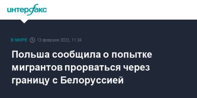 Польша сообщила о попытке мигрантов прорваться через границу с Белоруссией - interfax.ru - Москва - Белоруссия - Польша - Литва - Индия - Афганистан