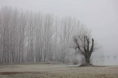 Ученые из Северного Кавказа разгадали тайну Ставропольского тумана - actualnews.org - Лондон - Ставрополье