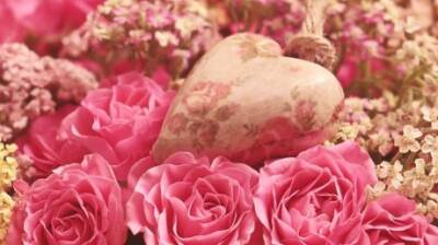 Названы лучшие цветы для подарка на День святого Валентина - penzainform.ru - Санкт-Петербург - Махачкала - Владикавказ