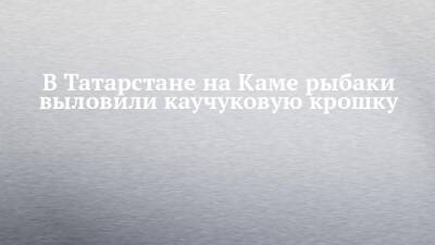 В Татарстане на Каме рыбаки выловили каучуковую крошку - chelny-izvest.ru - респ. Татарстан - Нижнекамск - Экология