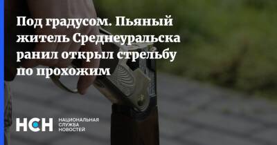Под градусом. Пьяный житель Среднеуральска ранил открыл стрельбу по прохожим - nsn.fm - Среднеуральск