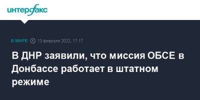 В ДНР заявили, что миссия ОБСЕ в Донбассе работает в штатном режиме - interfax.ru - Москва - Россия - США - Украина - Вашингтон - ДНР