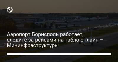 Аэропорт Борисполь работает, следите за рейсами на табло онлайн – Мининфраструктуры - liga.net - Украина - Катар - Борисполь - Dubai