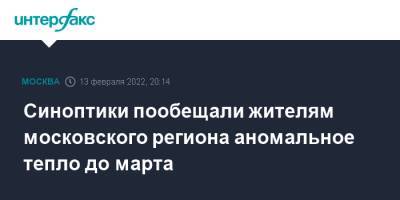 Синоптики пообещали жителям московского региона аномальное тепло до марта - interfax.ru - Москва - Москва