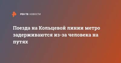 Поезда на Кольцевой линии метро задерживаются из-за человека на путях - ren.tv - Москва - Москва