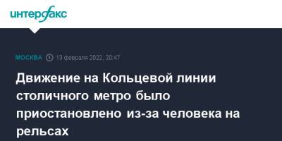 Движение на Кольцевой линии столичного метро было приостановлено из-за человека на рельсах - interfax.ru - Москва