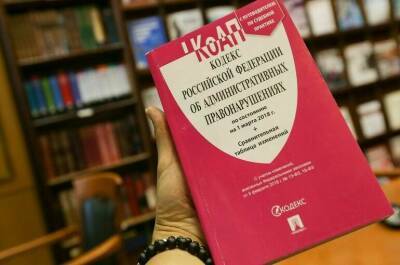 Владимир Путин - Елена Ямпольская - За уравнивание ролей СССР и Германии в войне хотят ввести ответственность - pnp.ru - Россия - Германия