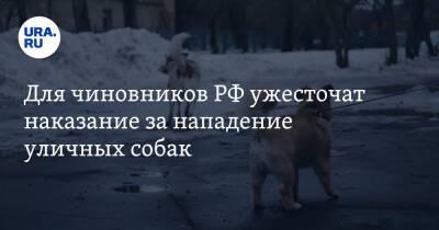 Владимир Бурматов - Для чиновников РФ ужесточат наказание за нападение уличных собак - ura.news - Россия