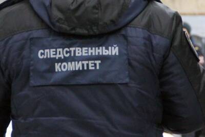 Собутыльник убил хозяина квартиры и продал его имущество в Новосибирске - novos.mk.ru - Новосибирск - район Центральный, Новосибирск