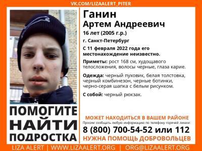 Элизабет Алерт - В Петербурге без вести пропал 16-летний подросток - ivbg.ru - Украина - Санкт-Петербург - Петербург