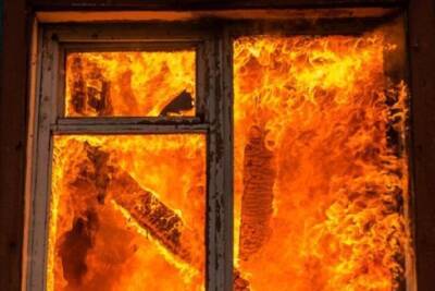 Кухонный пожар под Шенкурском едва не уничтожил многоквартирный дом - arh.mk.ru