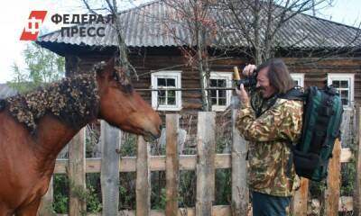 В России выросло количество отечественных туристических маршрутов - fedpress.ru - Москва - Россия - Ленинградская обл. - Санкт-Петербург - Тверская обл. - Новгородская обл. - Саранск - республика Мордовия