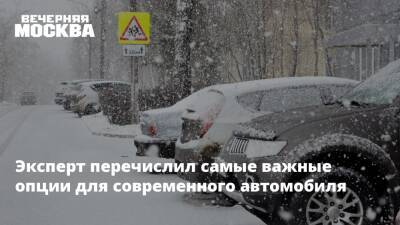 Максим Кадаков - Эксперт перечислил самые важные опции для современного автомобиля - vm.ru