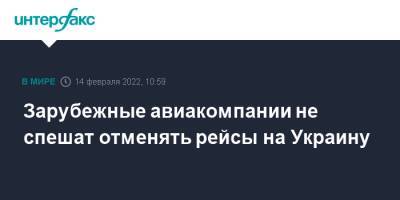 Зарубежные авиакомпании не спешат отменять рейсы на Украину - interfax.ru - Москва - Австрия - Россия - Украина - Киев - Германия - Польша - Голландия - Катар