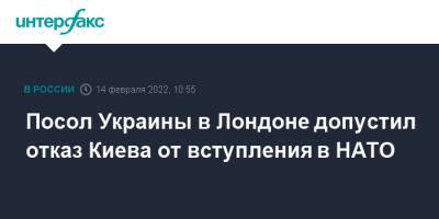 Вадим Пристайко - Посол Украины в Лондоне допустил отказ Киева от вступления в НАТО - interfax.ru - Москва - Россия - Украина - Киев - Англия - Лондон - Великобритания