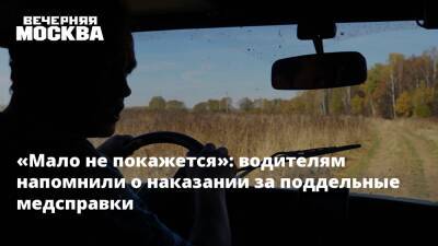 «Мало не покажется»: водителям напомнили о наказании за поддельные медсправки - vm.ru - Москва - Россия